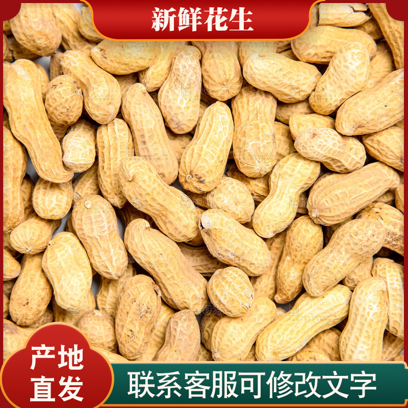 坚果纹理素材