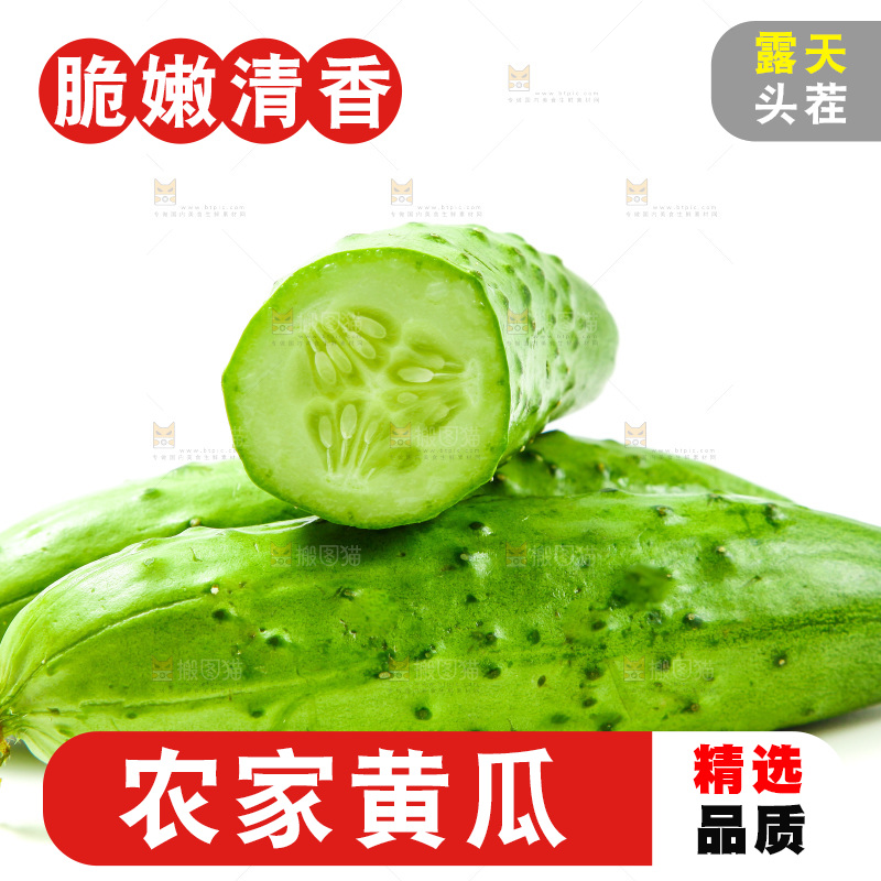 白底上放着旱黄瓜