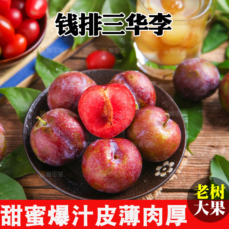 红肉三华李主图