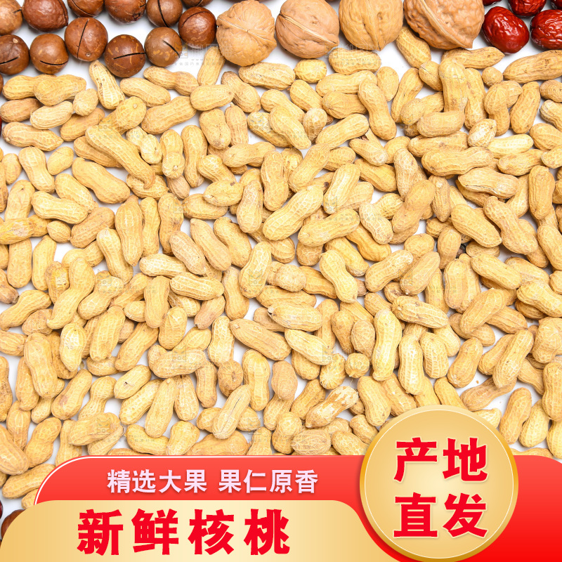 坚果纹理素材