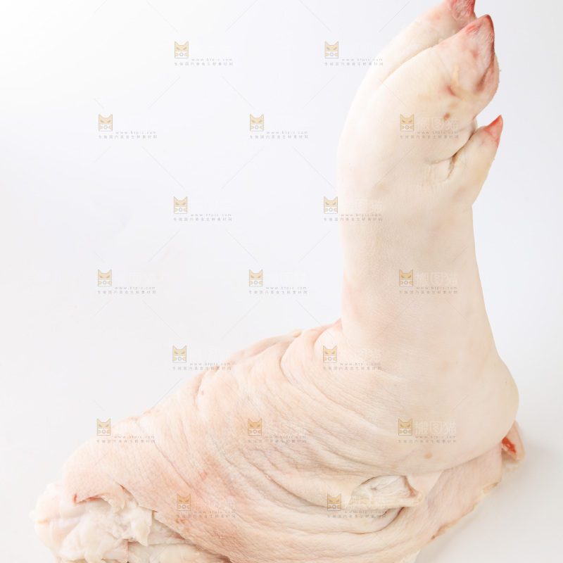 白底上的猪腿