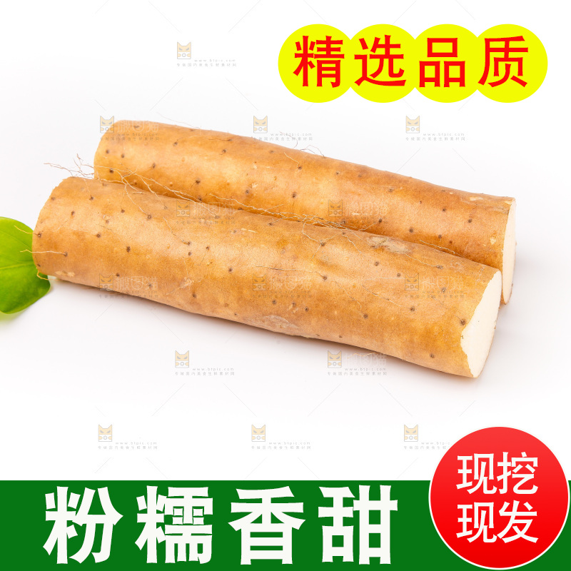 浅底上的新鲜山药