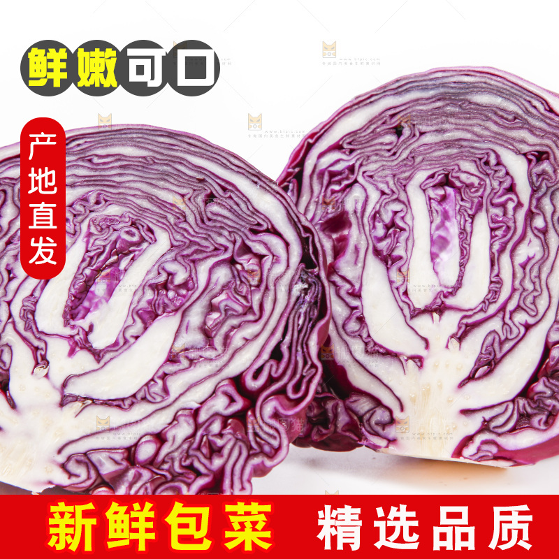 白底上放着紫包菜