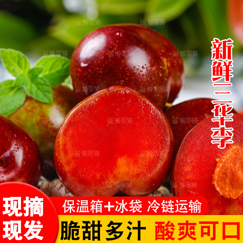 格子底上放着红心李子