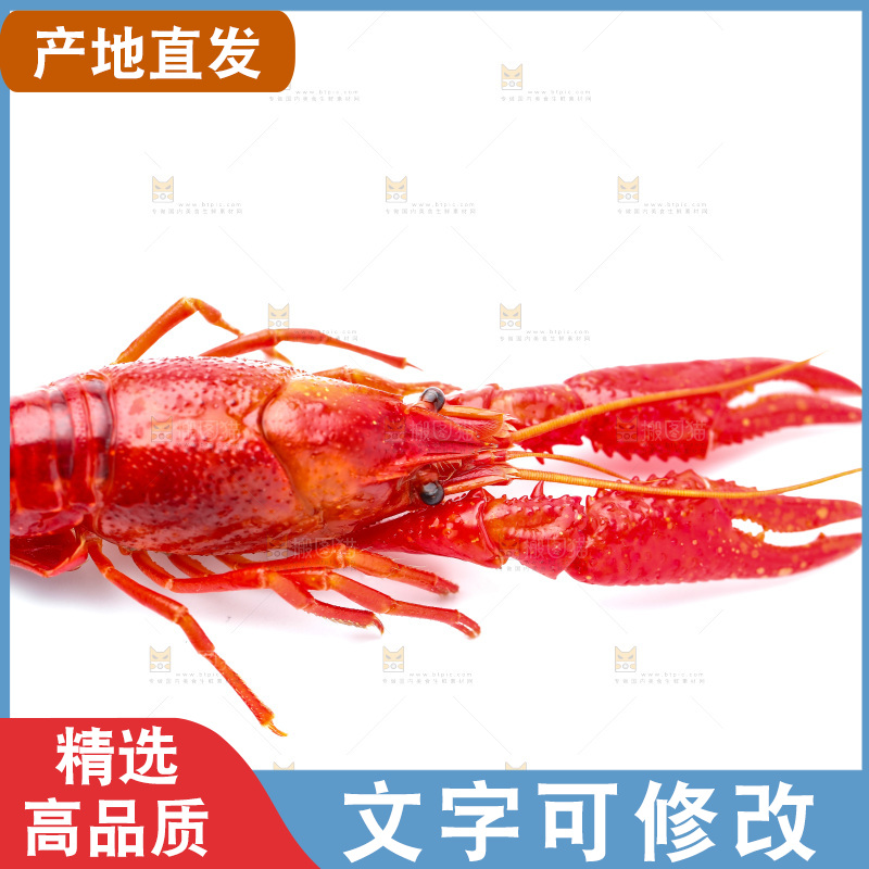 白底上放着秘制小龙虾