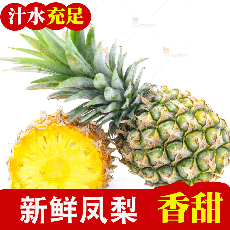 浅底上的海南凤梨