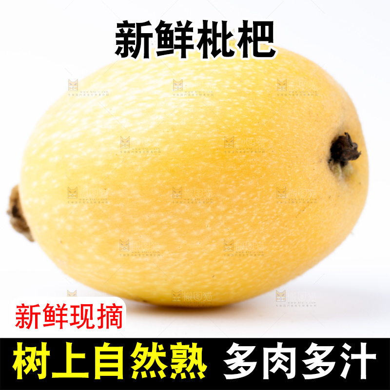 白底上放着新鲜枇杷