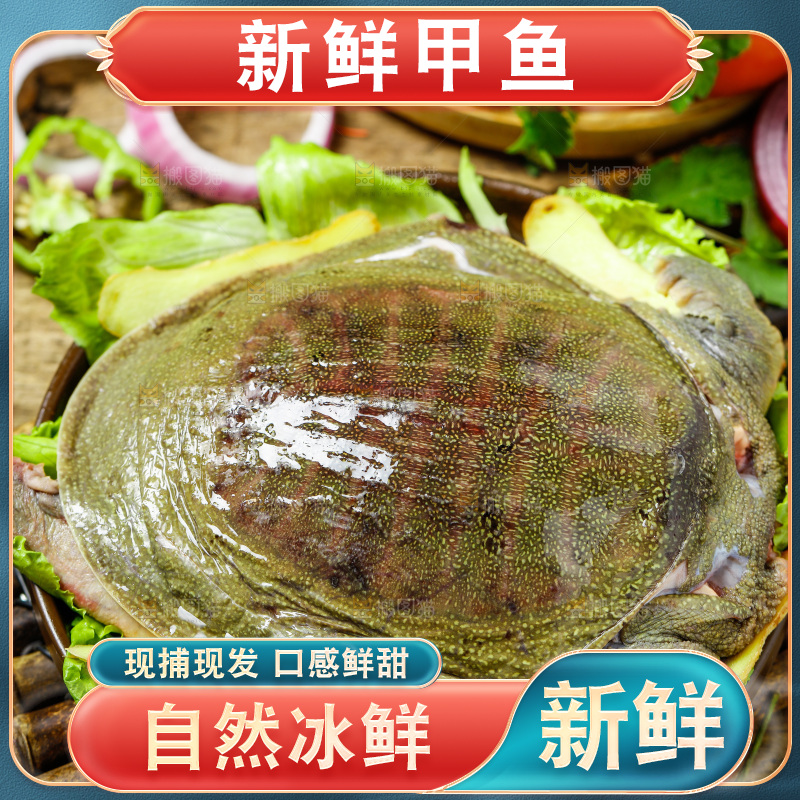 盘子里装着甲鱼