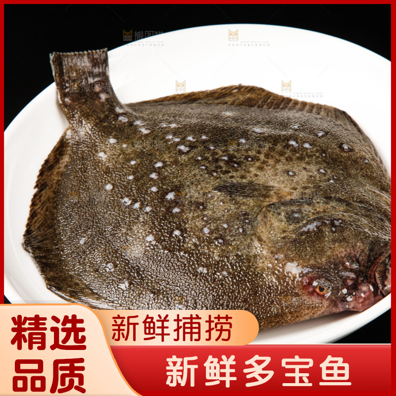 盘子里装着多宝鱼