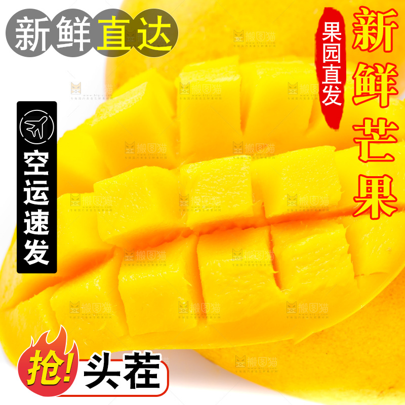 白底上放着小台农芒