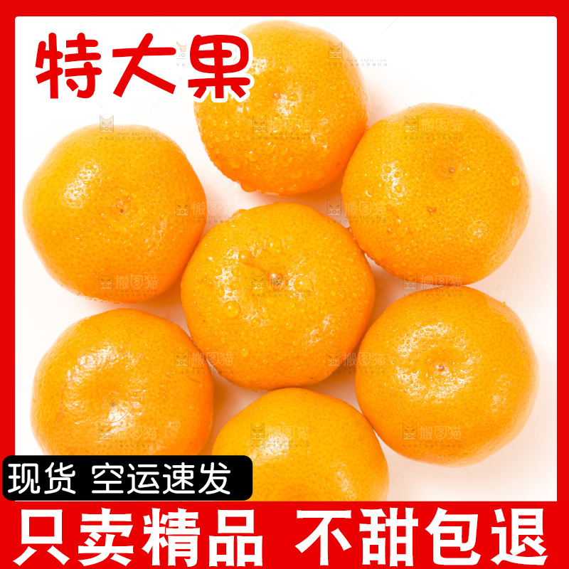 白底上的砂糖桔