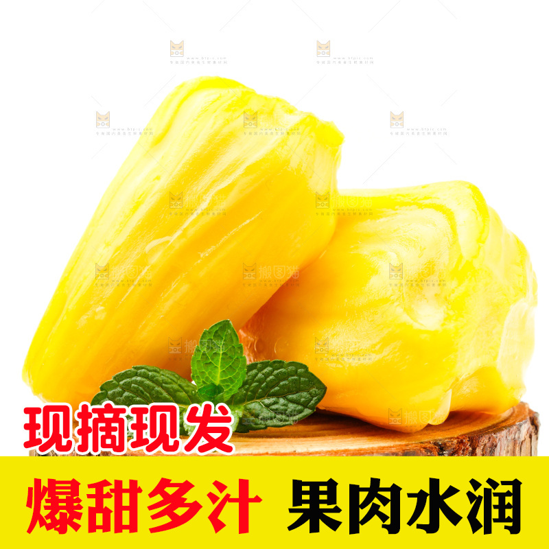 白底上的海南菠萝蜜