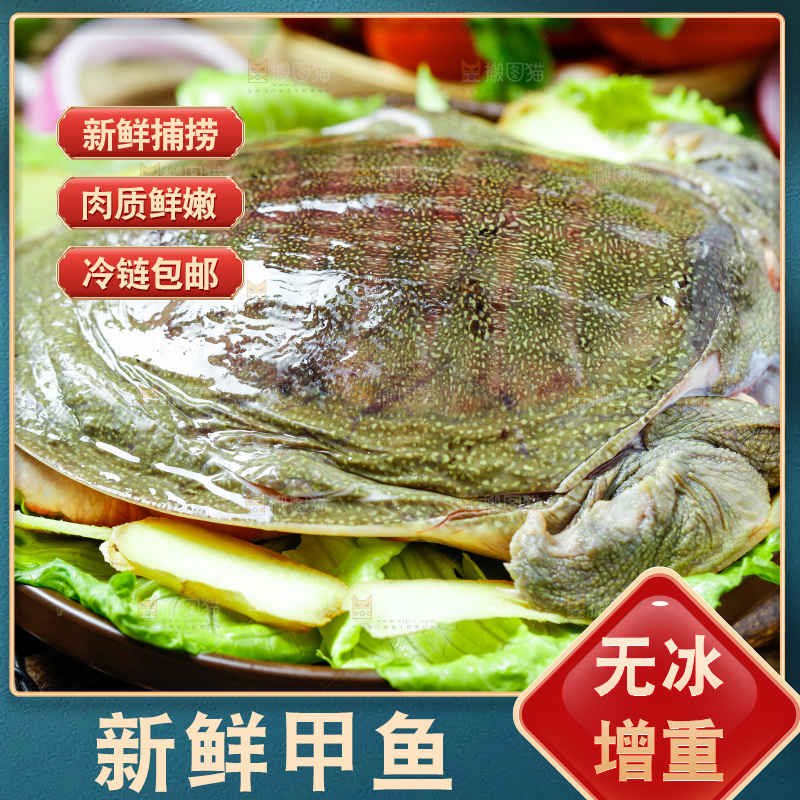 盘子里装着甲鱼