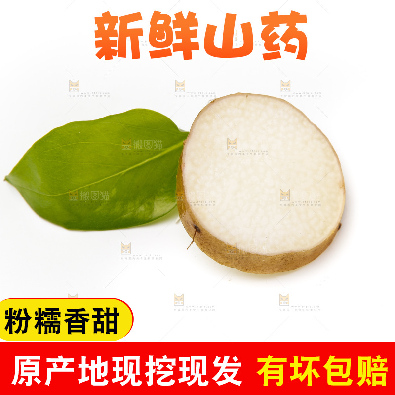 浅底上的新鲜山药