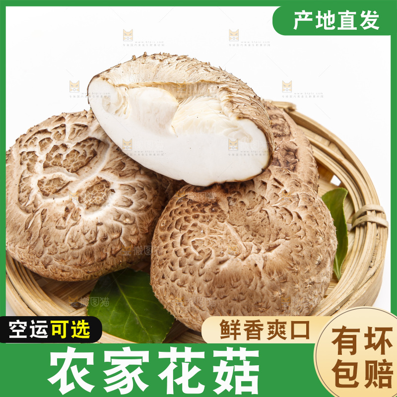 白底上放着花菇