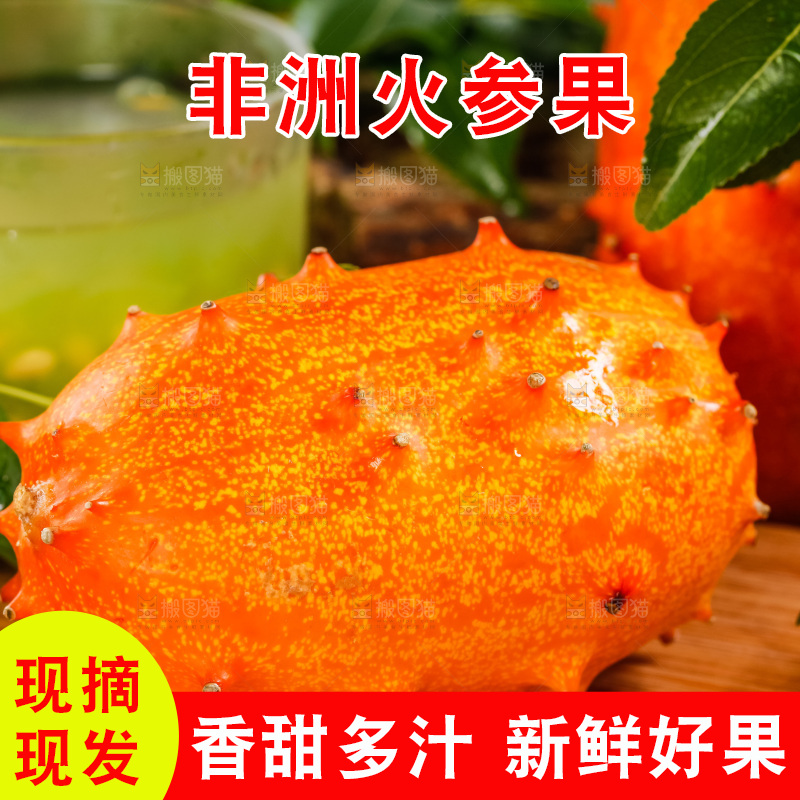 木底上摆放着海参果