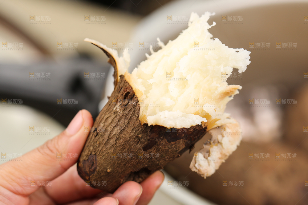 木底上的云南山药