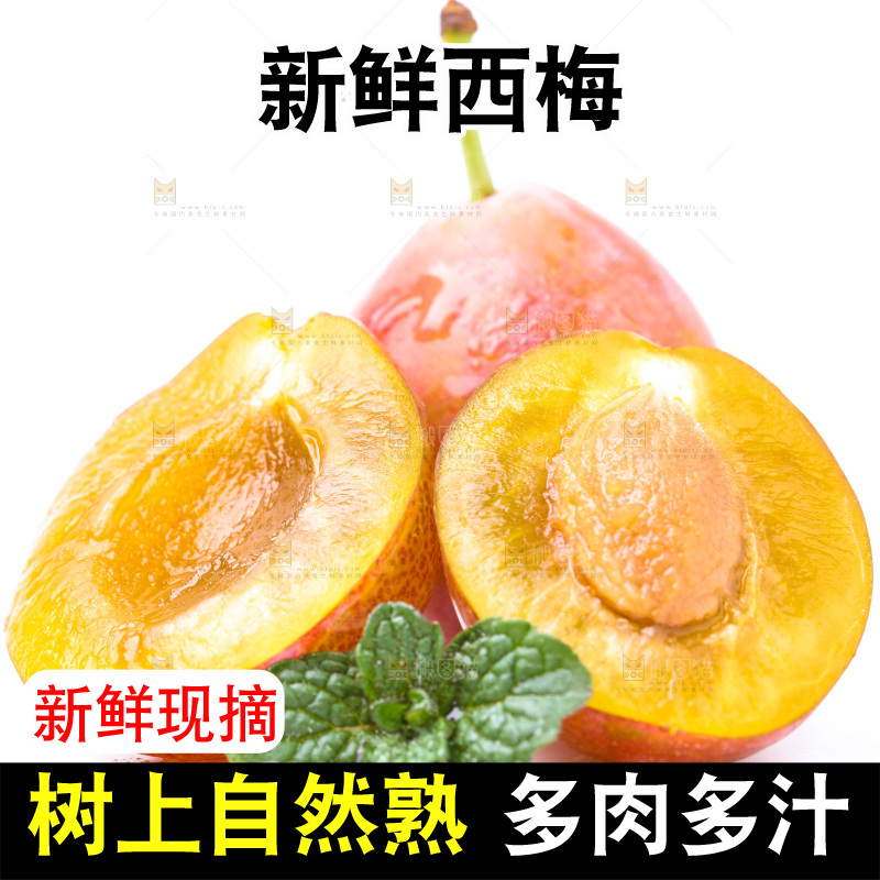 白底上的新疆法兰西西梅