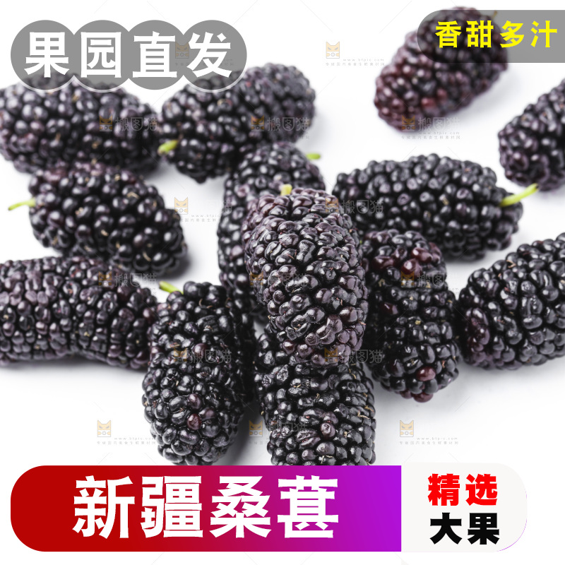 白底上的桑枣