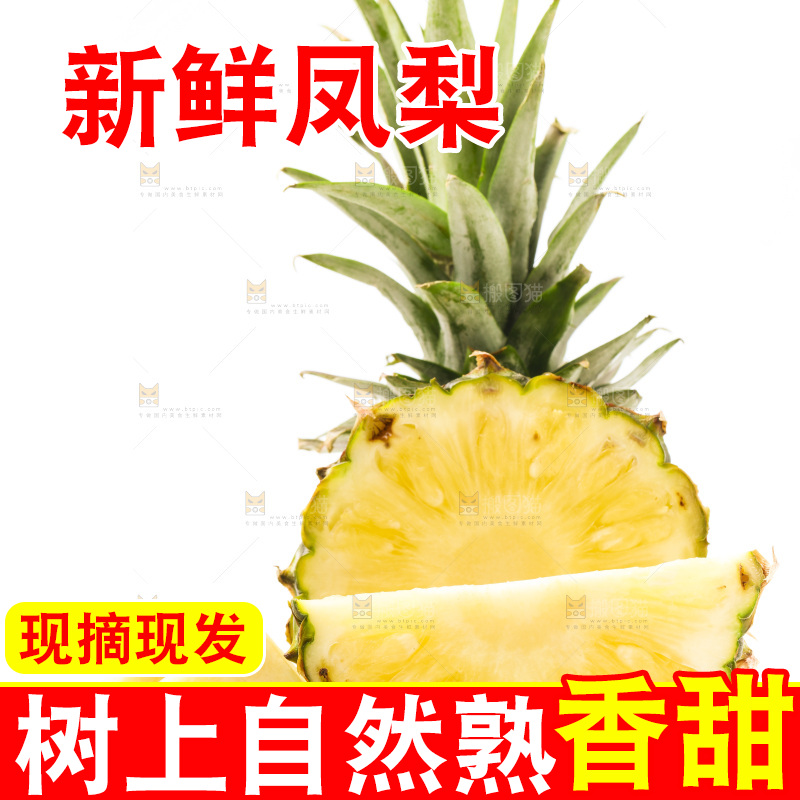 白底上摆放着海南凤梨