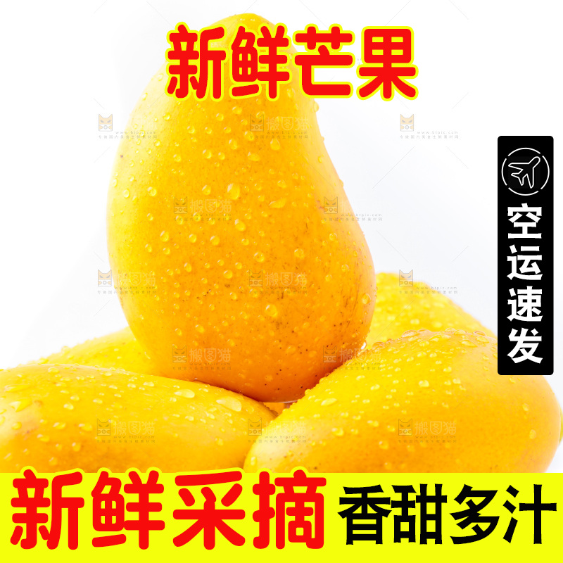 浅底上的海南小台农芒