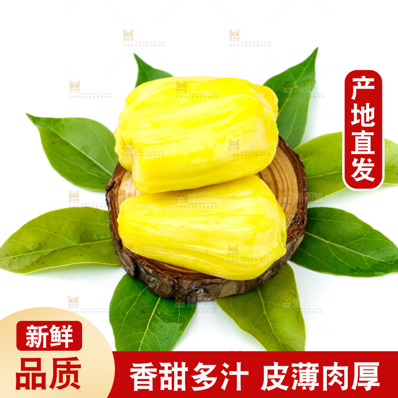 白底上的黄肉菠萝蜜