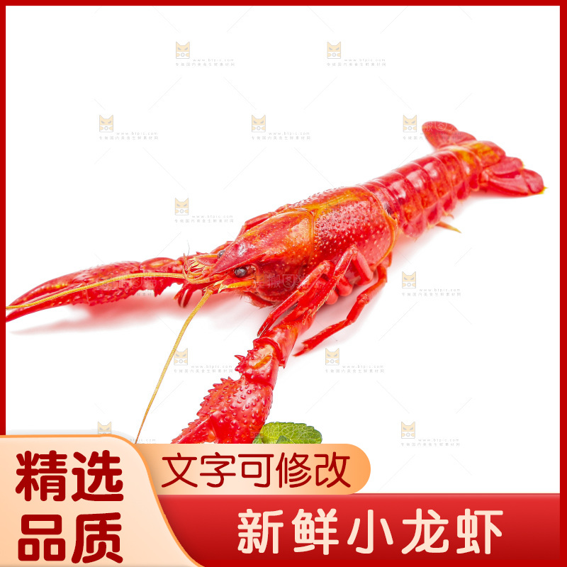 白底上放着清蒸小龙虾