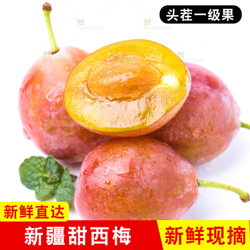 白底上的新疆法兰西西梅