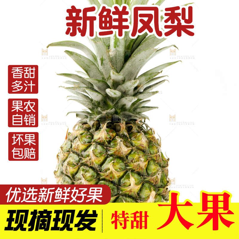 白底上摆放着海南凤梨