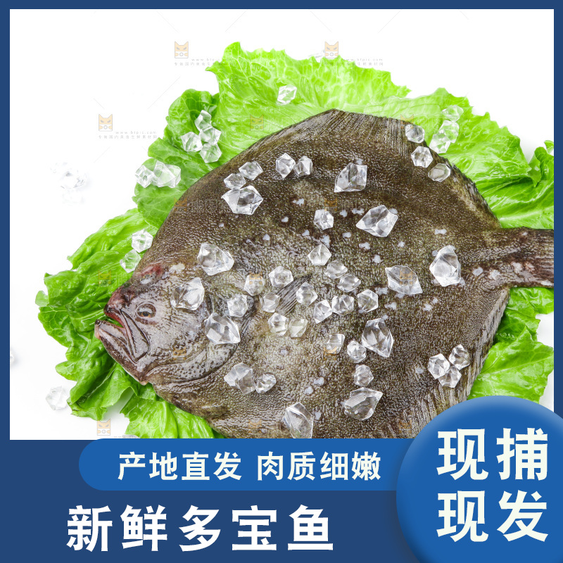 盘子里装着多宝鱼