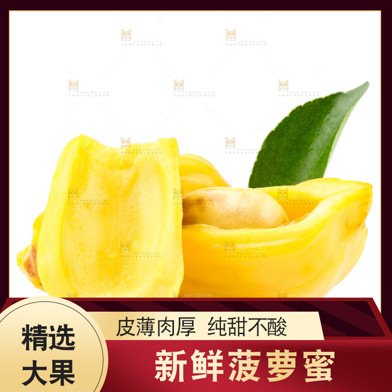 浅底上的海南菠萝蜜