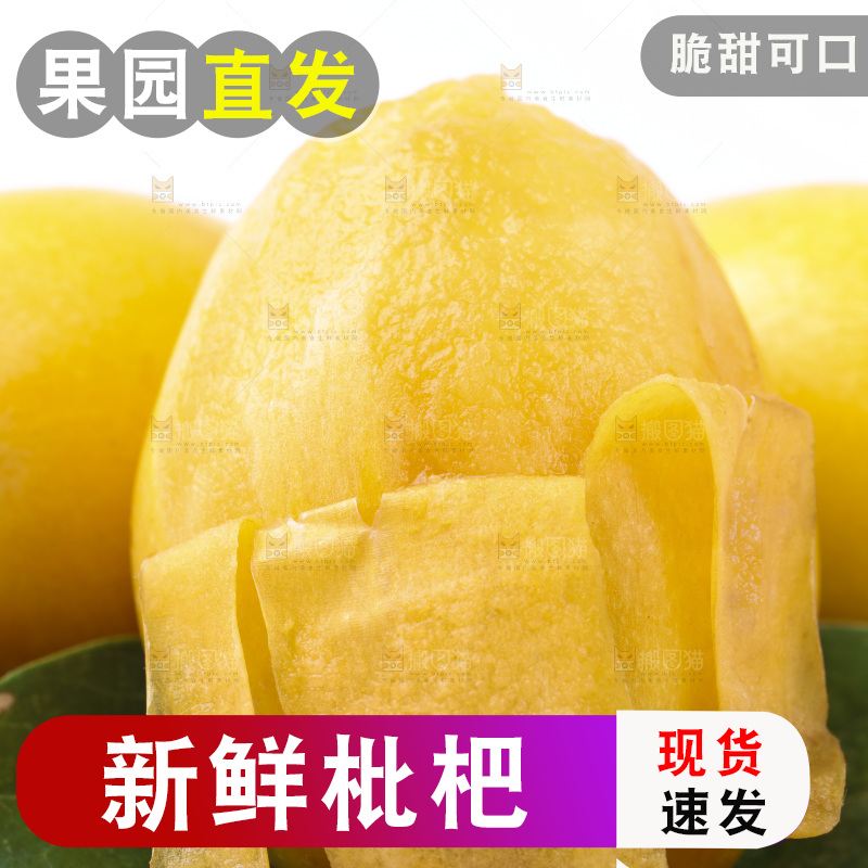 白底上放着新鲜枇杷
