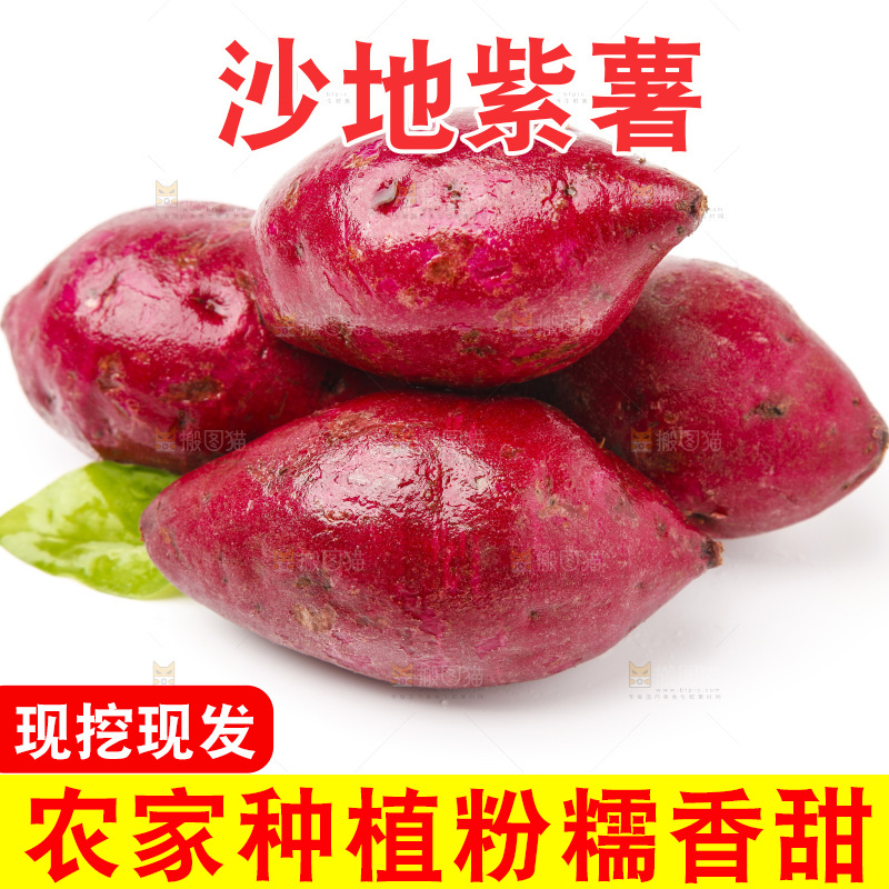浅底上的小紫薯