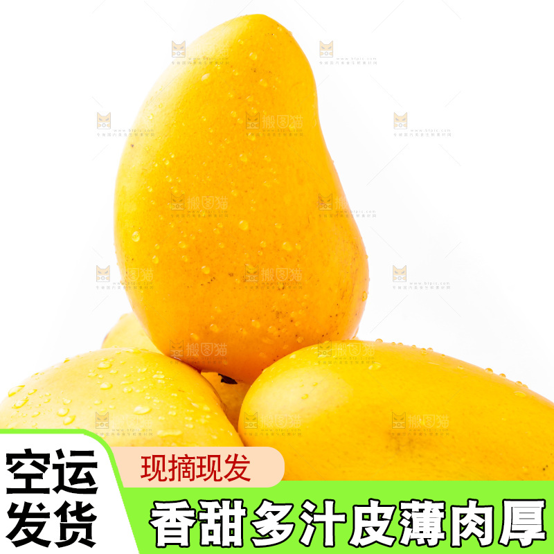 浅底上的海南小台农芒