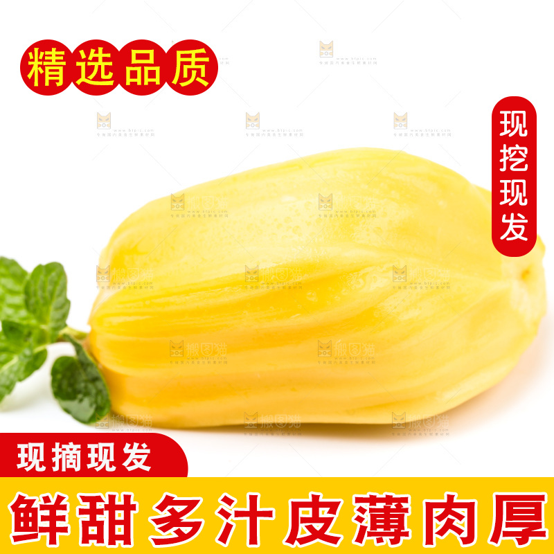 浅底上的黄肉菠萝蜜