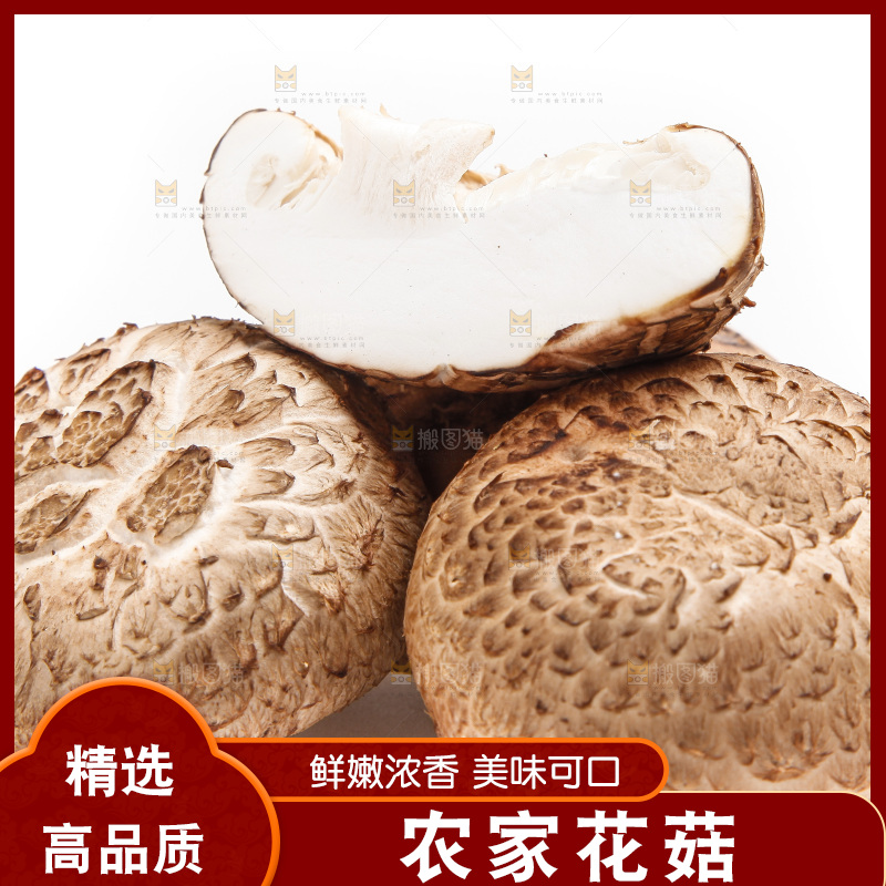 白底上放着花菇