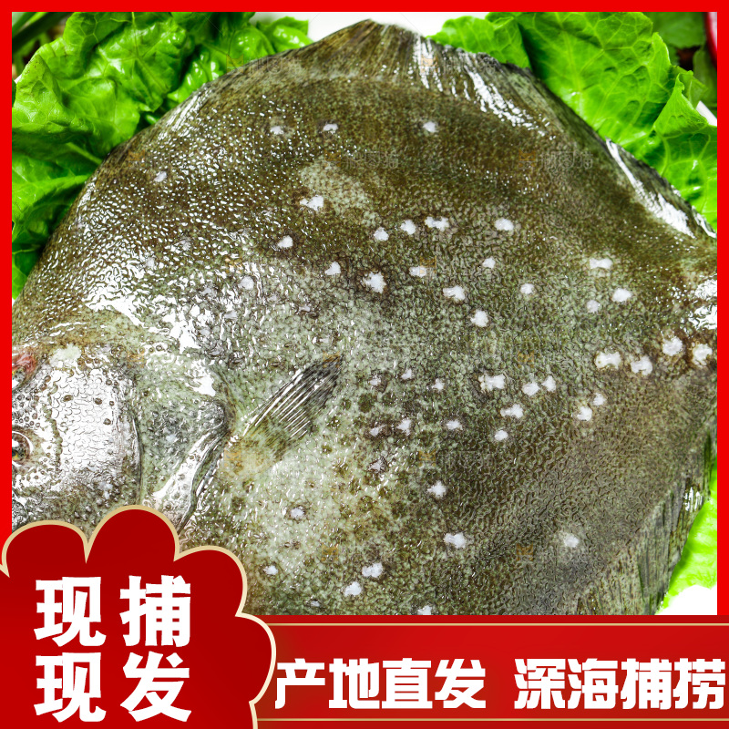 盘子里装着多宝鱼