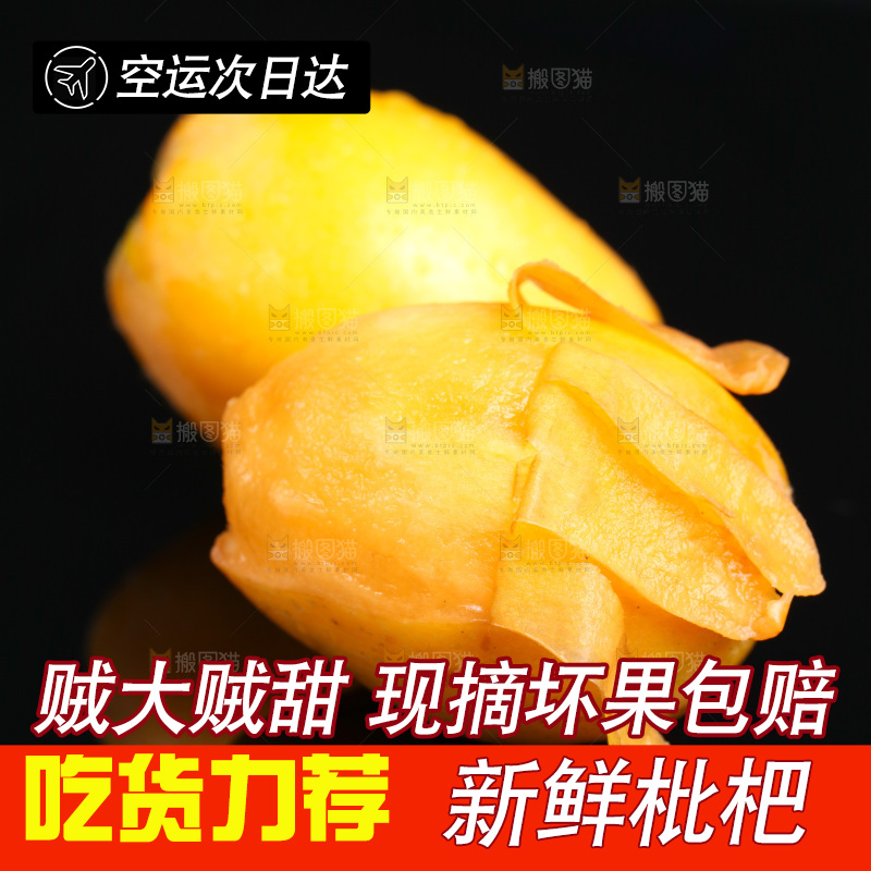 黑底上的米易枇杷