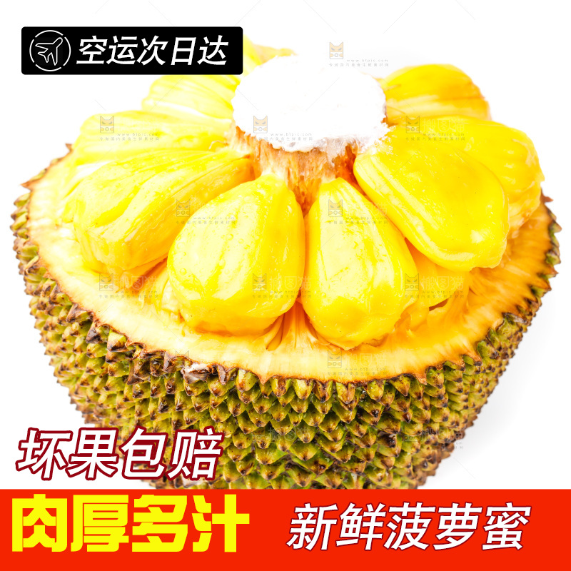 白底上的海南菠萝蜜