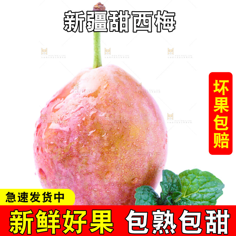 白底上的新疆法兰西西梅