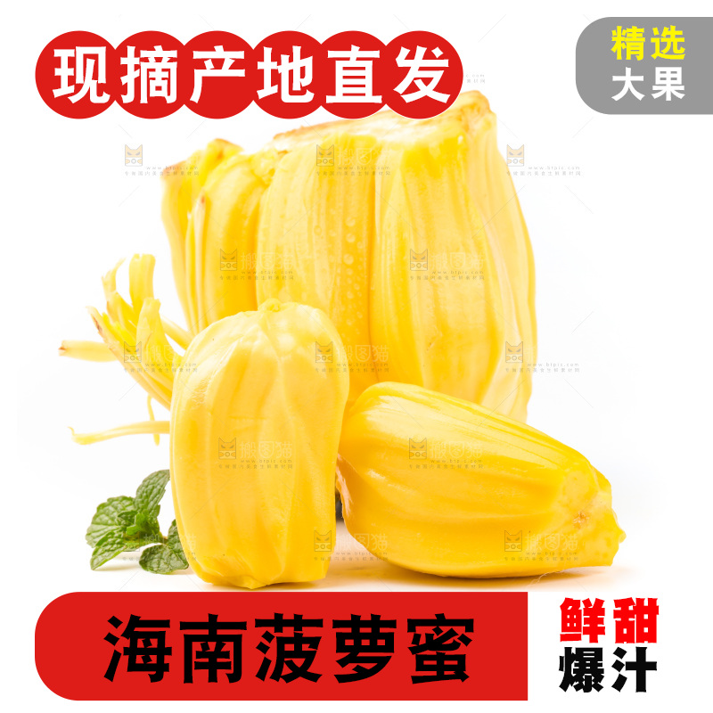 白底上的黄肉菠萝蜜
