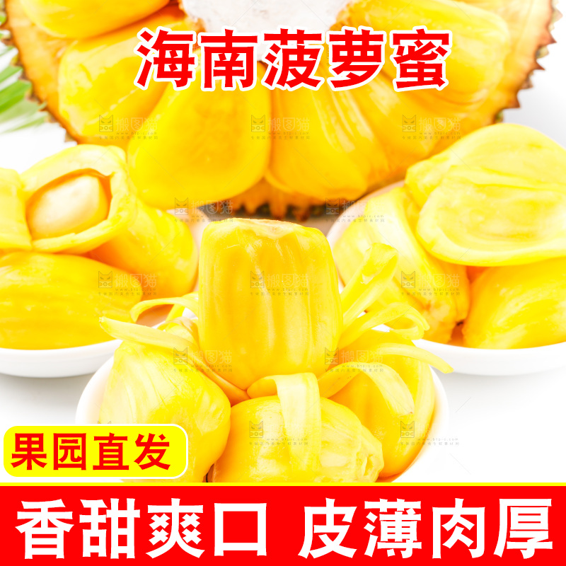 白底上的海南菠萝蜜