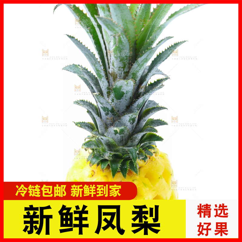 白底上的金钻凤梨