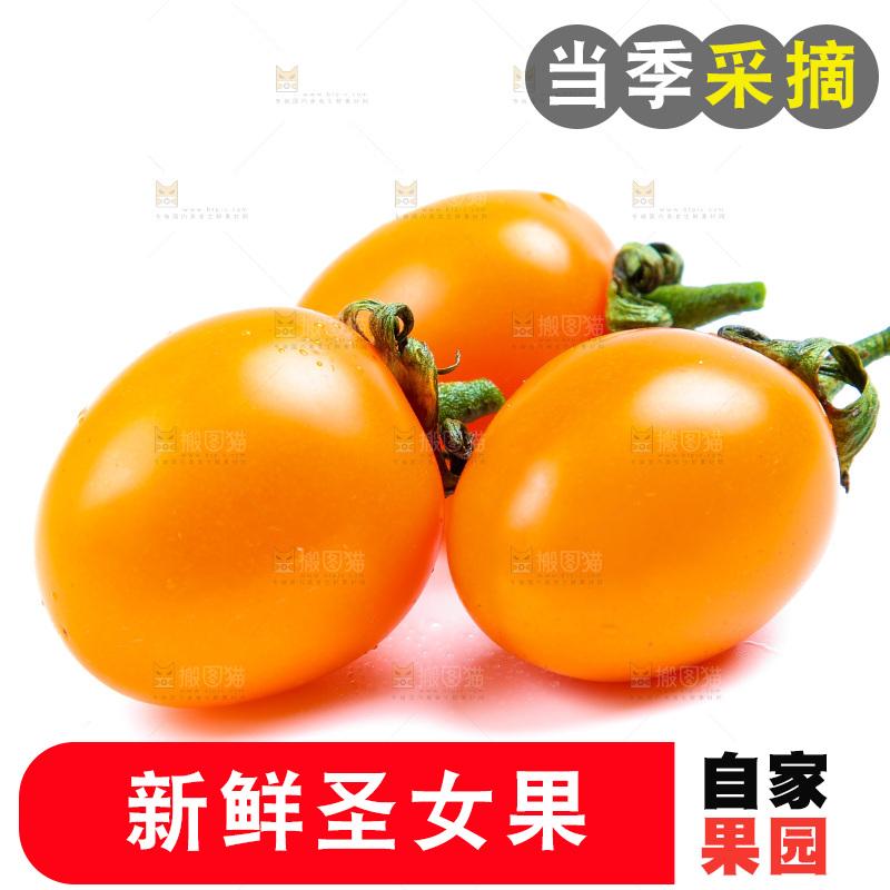 浅底上放着小西红柿