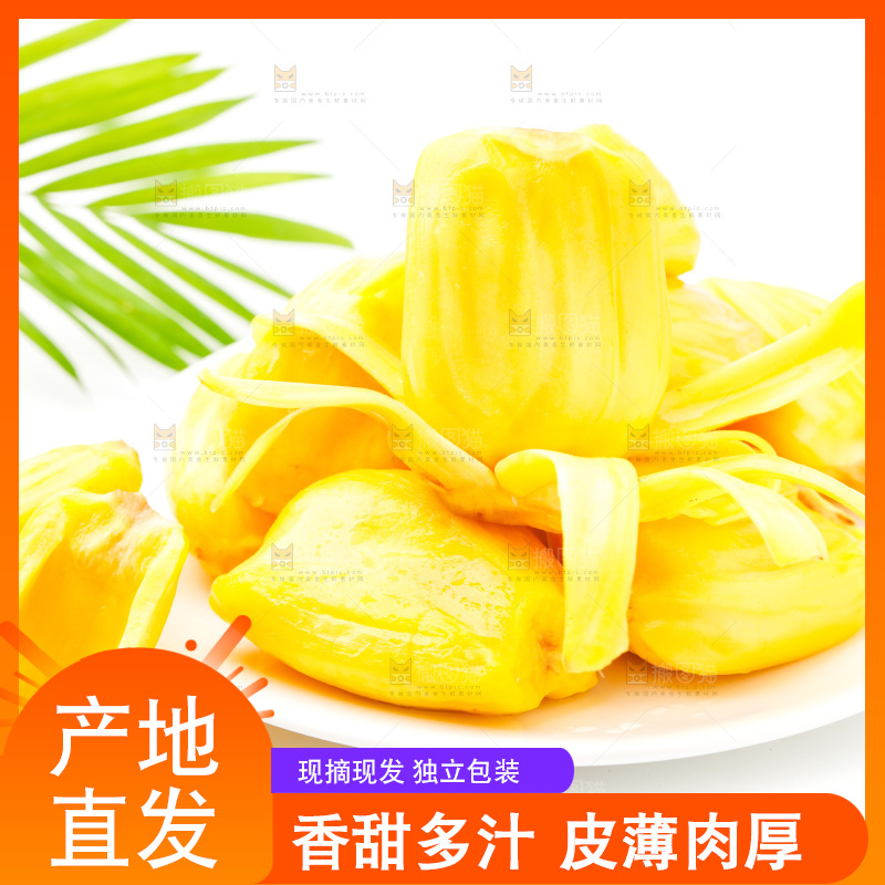 浅底上的黄肉菠萝蜜