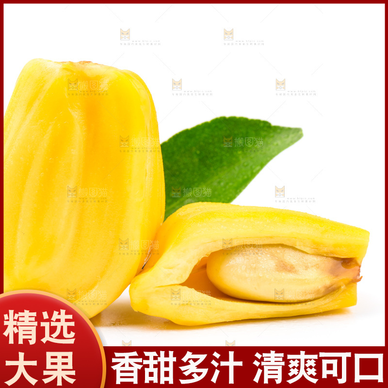 浅底上的海南菠萝蜜