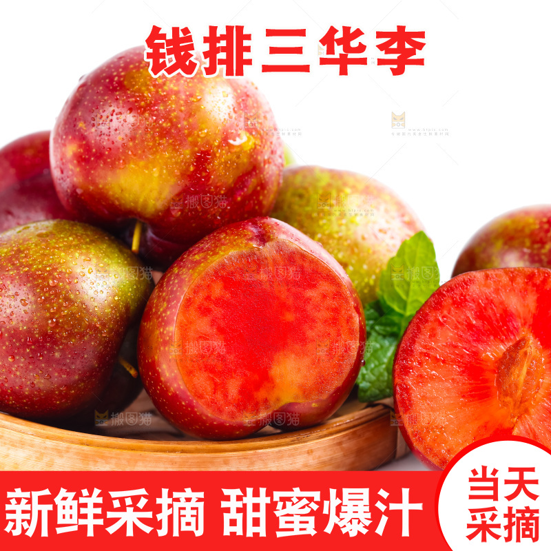 篮子里装着钱排三华李