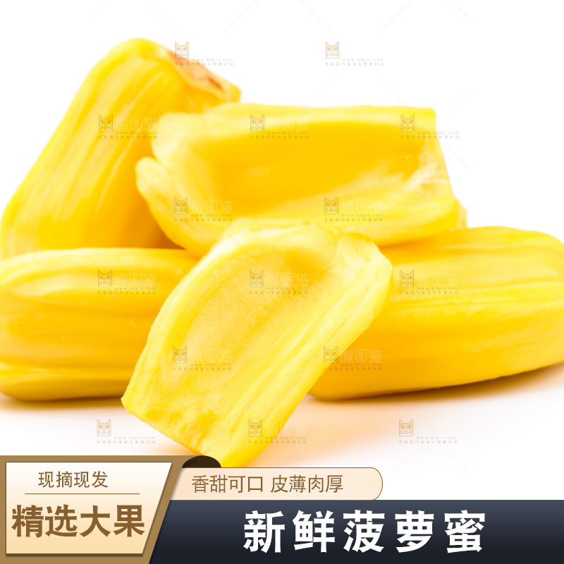 浅底上的海南菠萝蜜