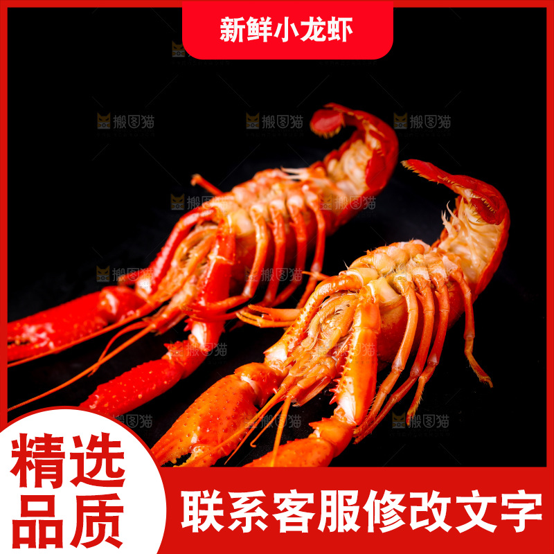 白底上的小龙虾