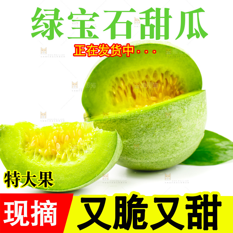 浅底上的山东绿宝石甜瓜